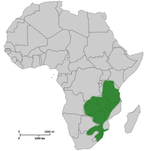 Map of Africa showing highlighted range covering much of eastern Africa from Tanzania to South Africa.