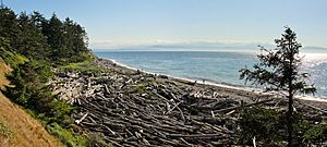 Shoreline at Fort Ebey State Park within U.S. Ebey's Landing National Historical Reserve on Whidbey Island