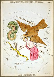 Sidney Hall - Urania's Mirror - Delphinus, Sagitta, Aquila, and Antinous