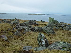 Standing Stones of Yoxie, Whalsay, Shetland - geograph.org.uk - 146051.jpg