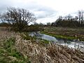 Storton's Pits 7