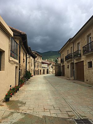 Street in Samaniego, Álava