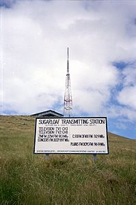 Sugarloaf transmission tower, January 1990