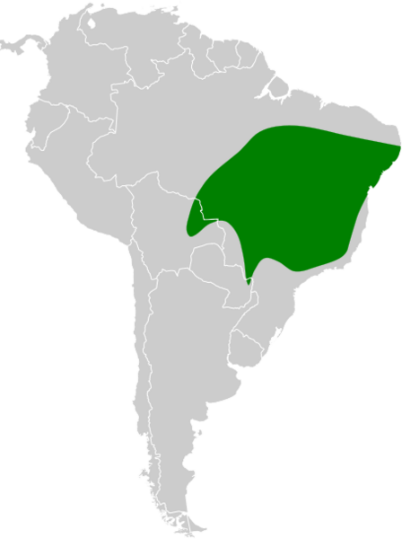 Thamnophilus torquatus map