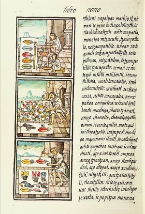 The Florentine Codex- Aztec Feather Painters III