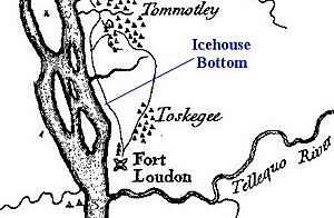 Timberlake-icehouse-bottom1