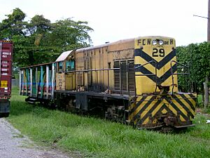 Train LaCeiba1