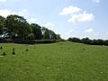 Tumulus in the corner of the field - geograph.org.uk - 457756