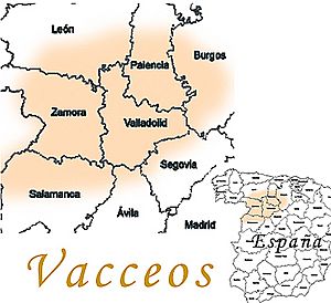 Vaceos224