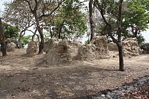 West African Frontier Force Okuta (3)