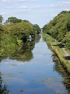 Yiewsley Slough Arm Trout Lane 1