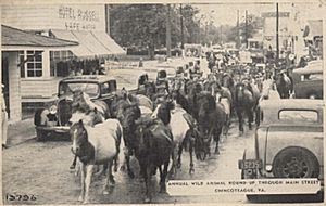 1941 ponies postcard obverse