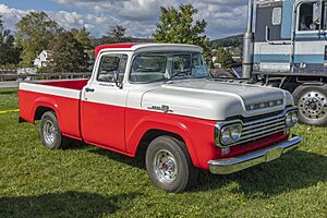 1959 Ford F-100 MD1