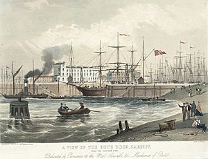 A view of the jubilee dock, Cardiff, from the eastern side