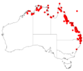 Acacia aulacocarpaDistMap82