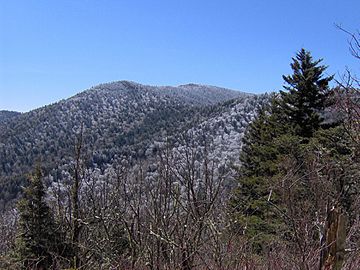 Appalachian-Trail-guyot2.jpg