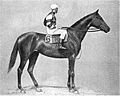 Artful (horse)