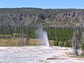 Atomizer Geyser (Yellowstone NP)