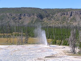 Atomizer Geyser (Yellowstone NP).jpg