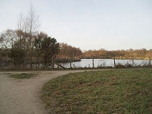 Black Lake, Lindow Common. - geograph.org.uk - 92159