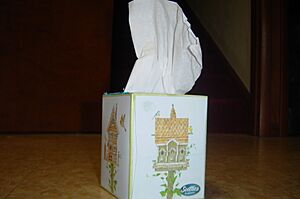 Box of Scotties tissues