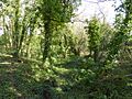 Brede Pit and Cutting (4)