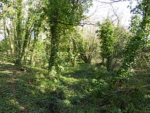 Brede Pit and Cutting (4)