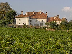 Chateau du Rosey 01