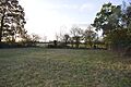 Chettisham Meadow 2