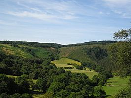 Clocaenog Forest at head of Clywedog Valley - geograph.org.uk - 412276