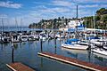 Corinthian Yacht Club, Tiburon (2023)-L1003487