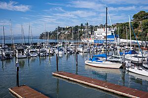 Corinthian Yacht Club, Tiburon (2023)-L1003487