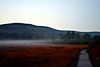 Cranberry-glades-fog-1.jpg