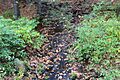 Crooked Run