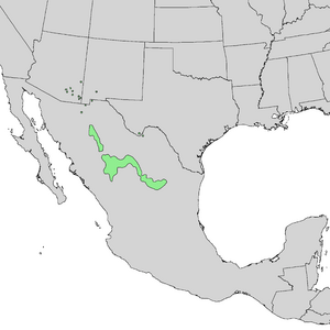 Cupressus arizonica range map 1.png