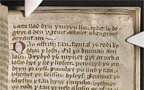 Cyfraith Hywel Dda, folio 7r (4780062)