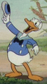 Donald duck debut