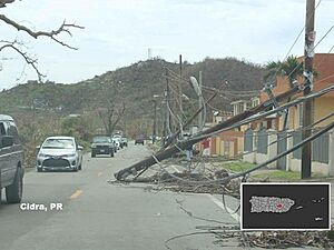 Downed power line in Cidra, Puerto Rico after Hurricane Maria