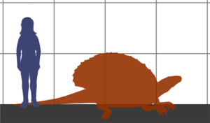 Edaphosaurus SIZE