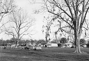 Fazendeville Louisiana Early 1960s