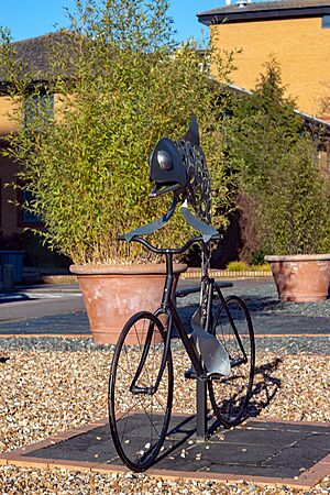 Fish on a bicycle