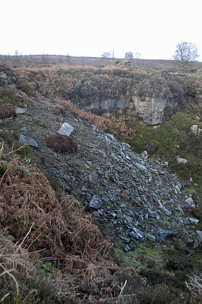 Former quarry workings on Harden Moor