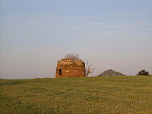 Forton Mill stump