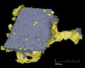 Gold on arsenopyrite SEM image