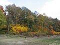 Grand Tower Park hillside