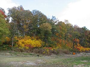 Grand Tower Park hillside
