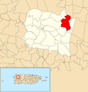 Location of Guajataca within the municipality of San Sebastián shown in red