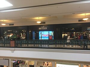 Hollister Co. Facts for Kids