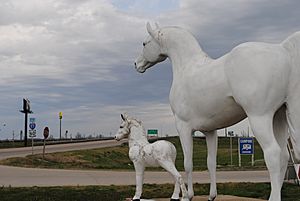 Horse Statues at Boomtown, Charleston, Missouri