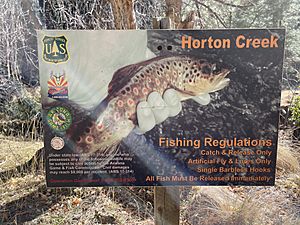 Horton Creek, Arizona fishing regulations